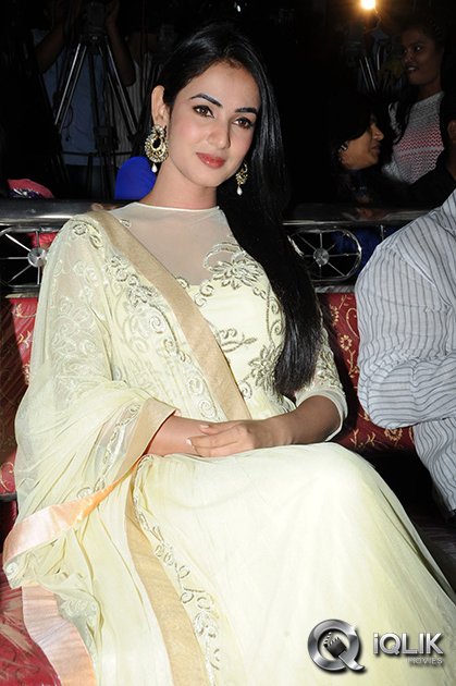 Sonal-Chauhan-at-Legend-Movie-Success-Meet